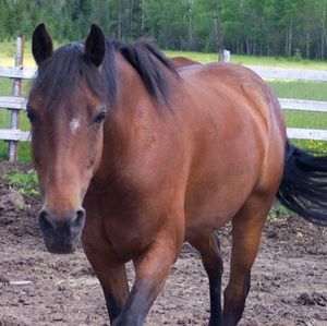 Meet your Posher, Kim